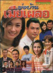 พ่อบ้านเมียเผลอ(2546)