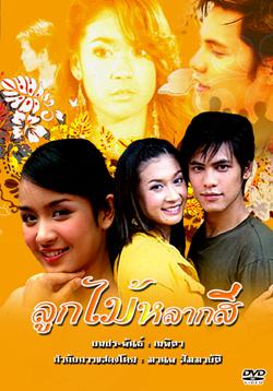 ลูกไม้หลากสี(2548)