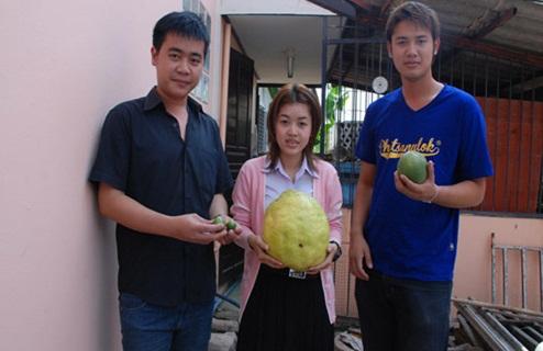 มะนาวยักษ์