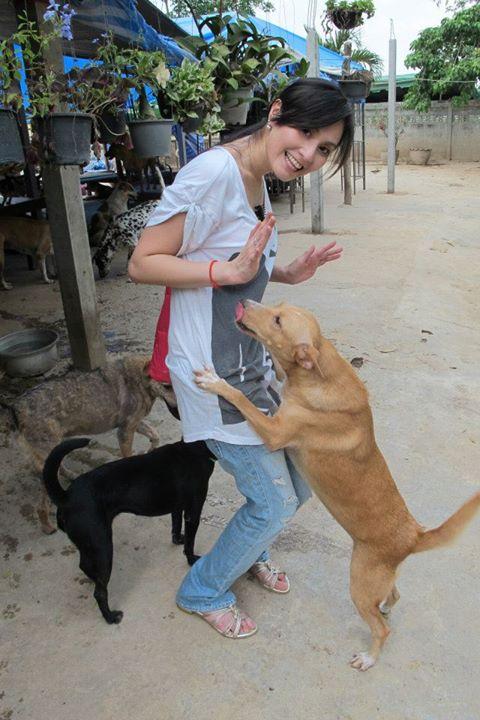 เต๊ะ ศตวรรษ แต่งงาน