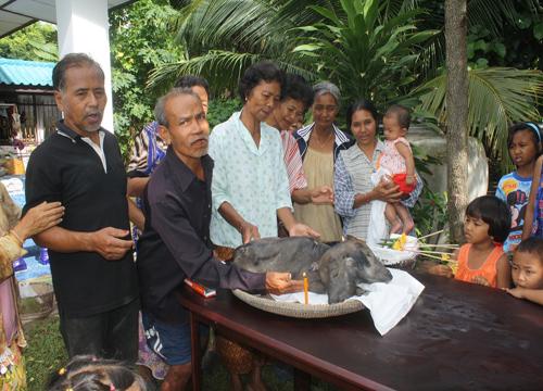 ลูกควายประหลาด2หัว