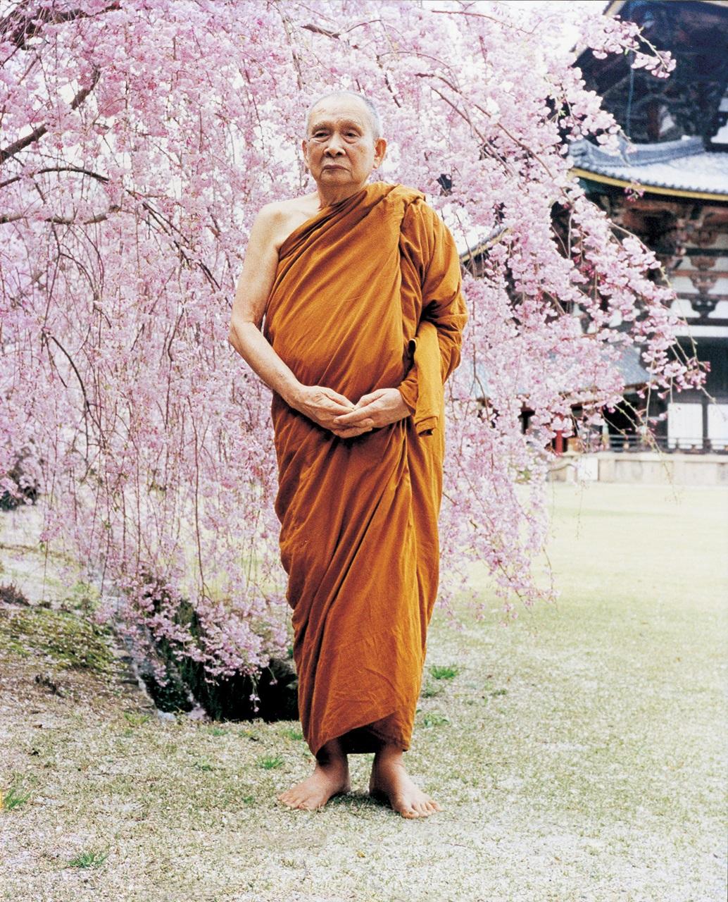 สมเด็จพระสังฆราช 