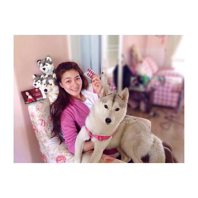 หมาของแพนเค้ก 