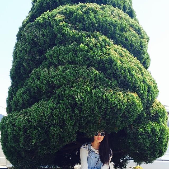 ญาญ่า อุรัสยา