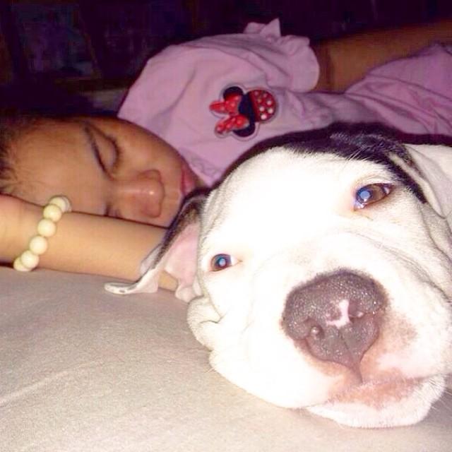 ตุ๊กกี้ ชิงร้อย