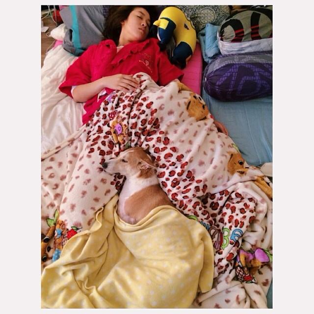 เชียร์ ฑิฆัมพร