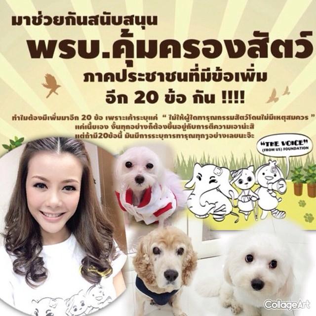 เก๋ ชลลดา