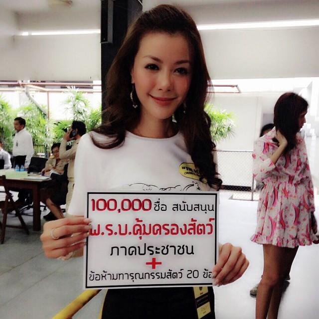 เก๋ ชลลดา