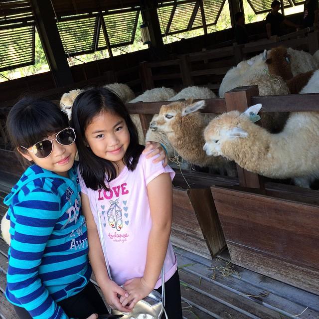 ลูกกิ๊ก สุวัจนี 