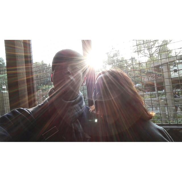 จอย อาเล็ก