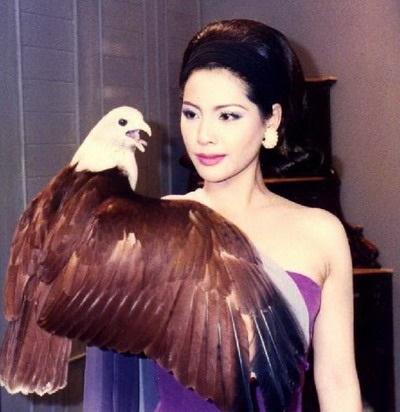 เหมียว ชไมพร