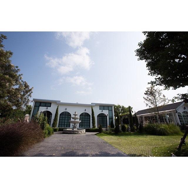 ใหม่ ดาวิกา