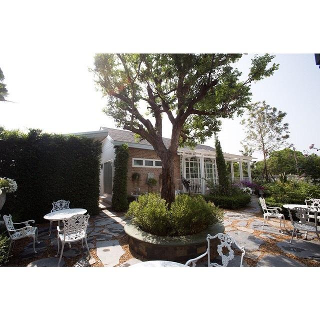 ใหม่ ดาวิกา