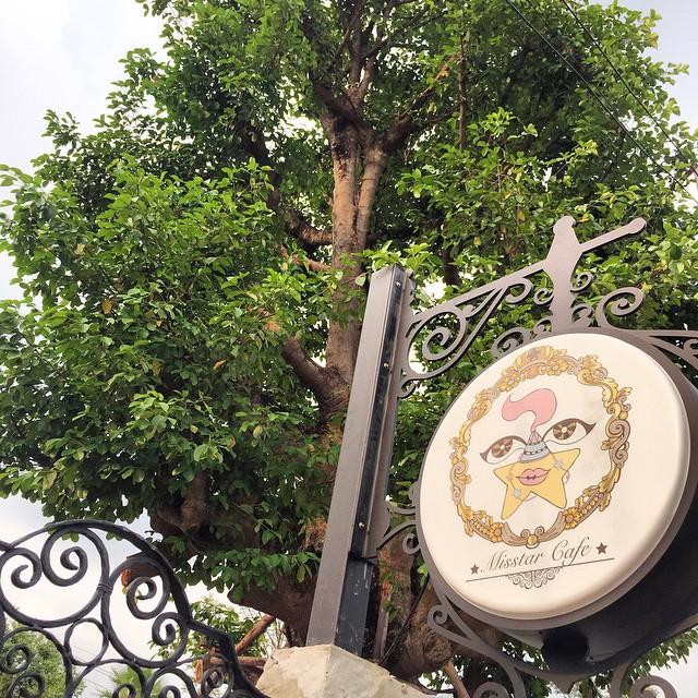 ใหม่ ดาวิกา