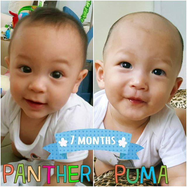 น้องพูม่า