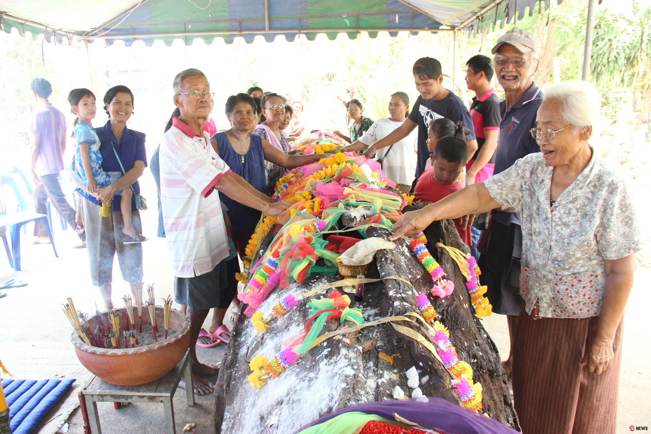 ชาวบ้านแตกตื่นพบต้นตะเคียนยักษ์อายุหลายร้อยปี