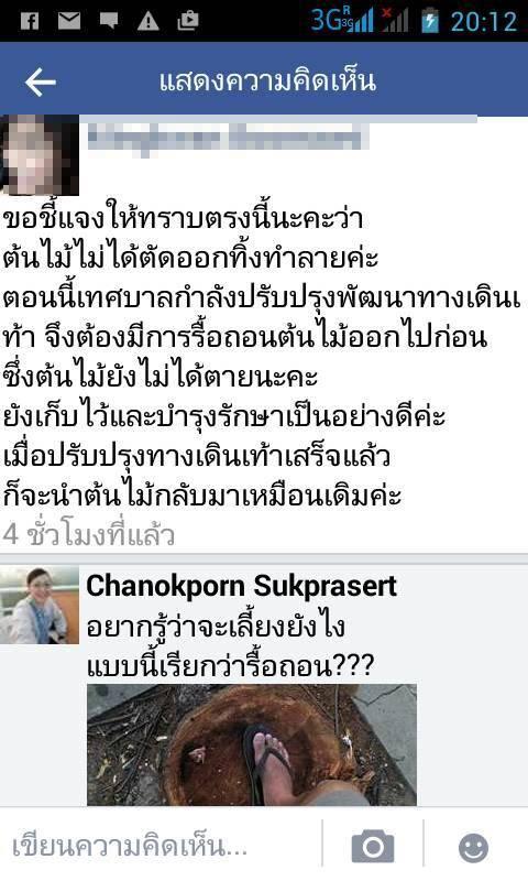 หลังตัดต้นไม้