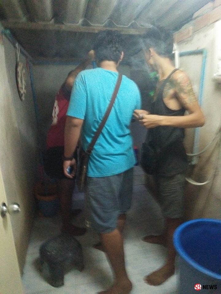 กระบี่-ผวางูเห่ามุดโถส้วม