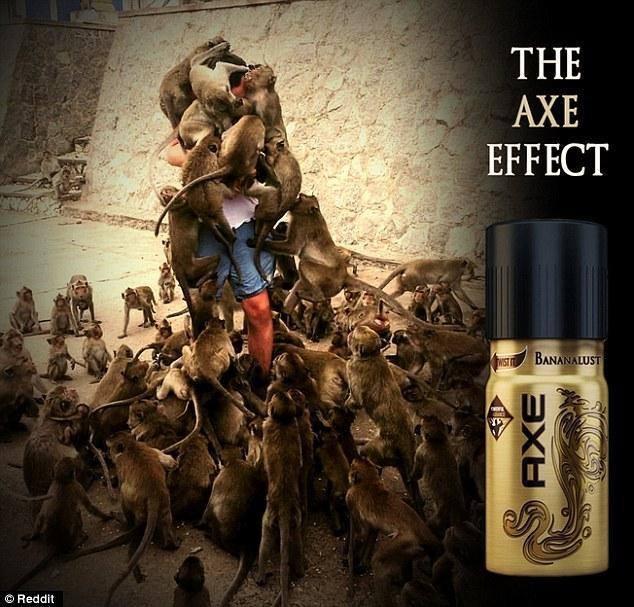 ลิงรุมคน