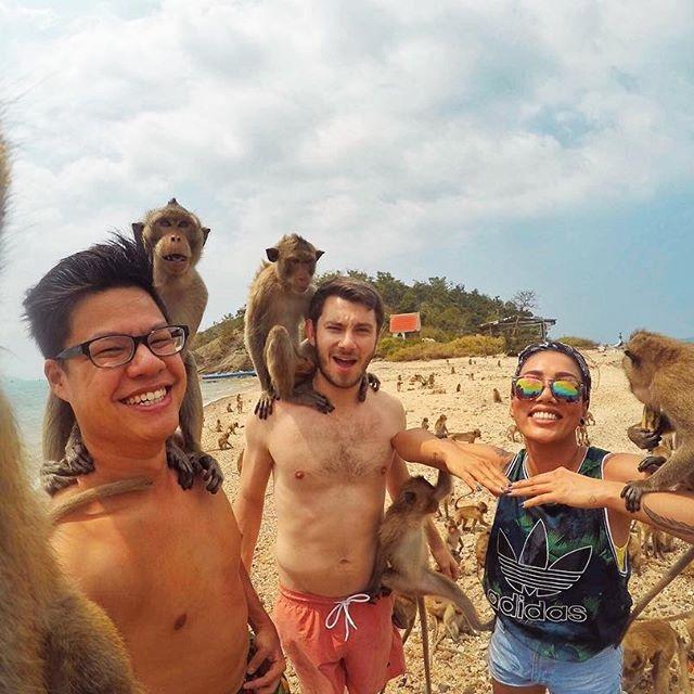 ดา เอ็นโดรฟิน