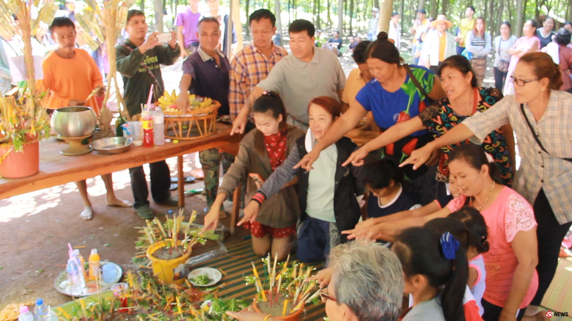 ชาวบ้านแห่กราบไหว้ขอโชคลาภรูพญานาค โผล่กลางป่าสวนยาง