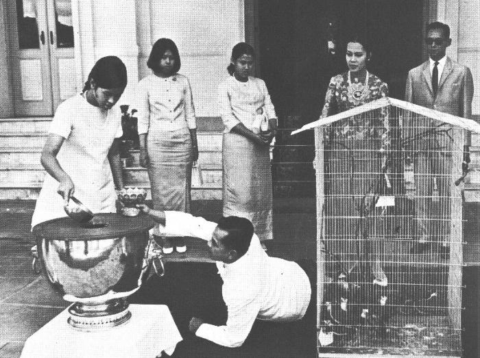 รวมภาพของพ่อ