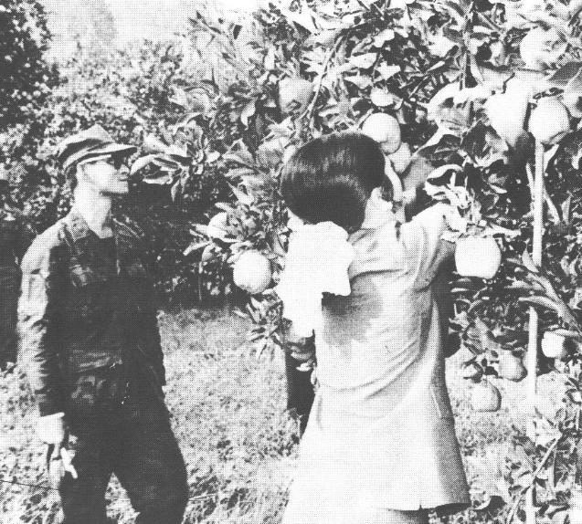 รวมภาพของพ่อ