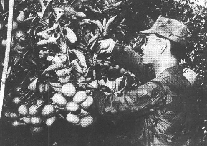 รวมภาพของพ่อ