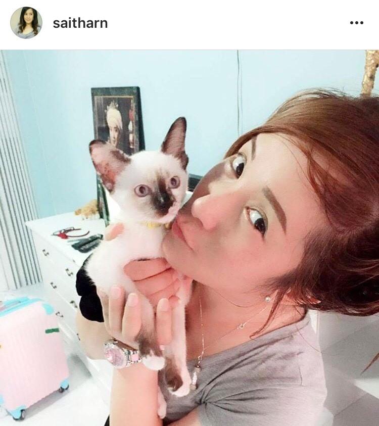 ต่าย สายธาร