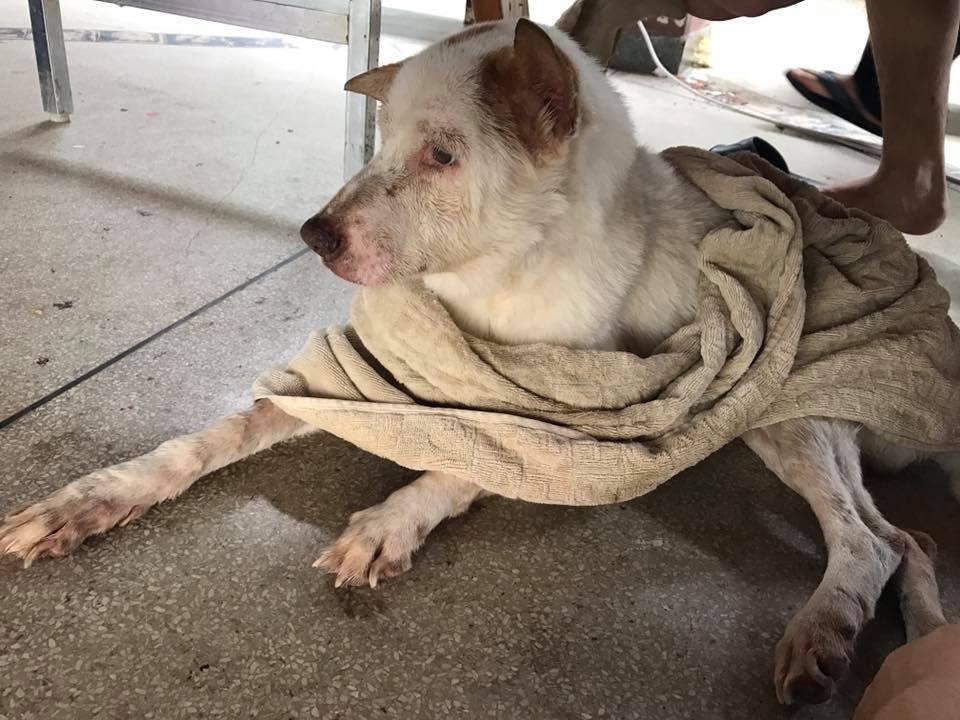 พี่เบื่อ มช.