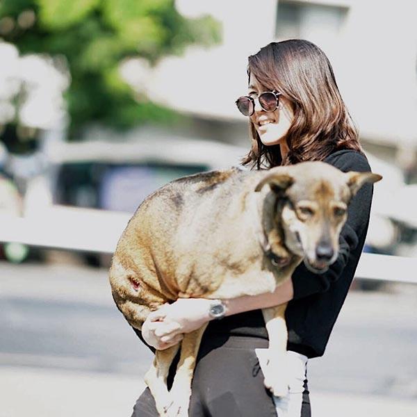 เชียร์ ฑิฆัมพร 