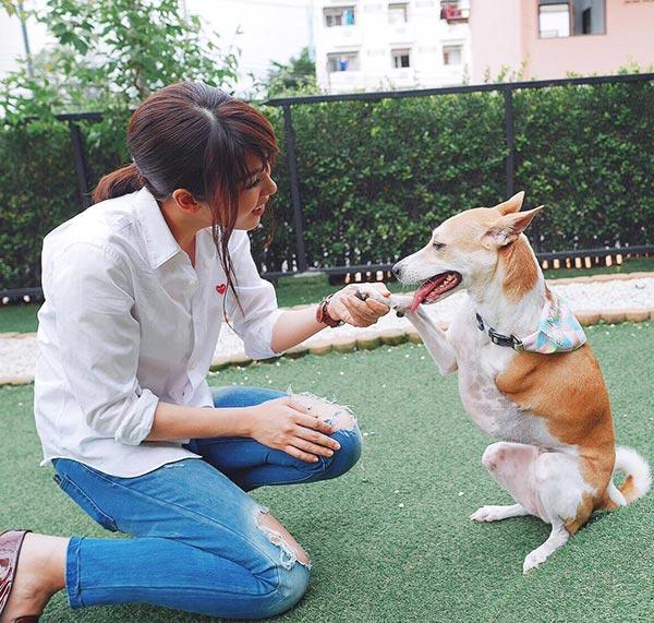 เชียร์ ฑิฆัมพร 