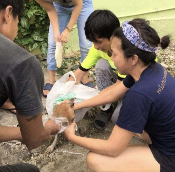 ท็อป ดารณีนุช