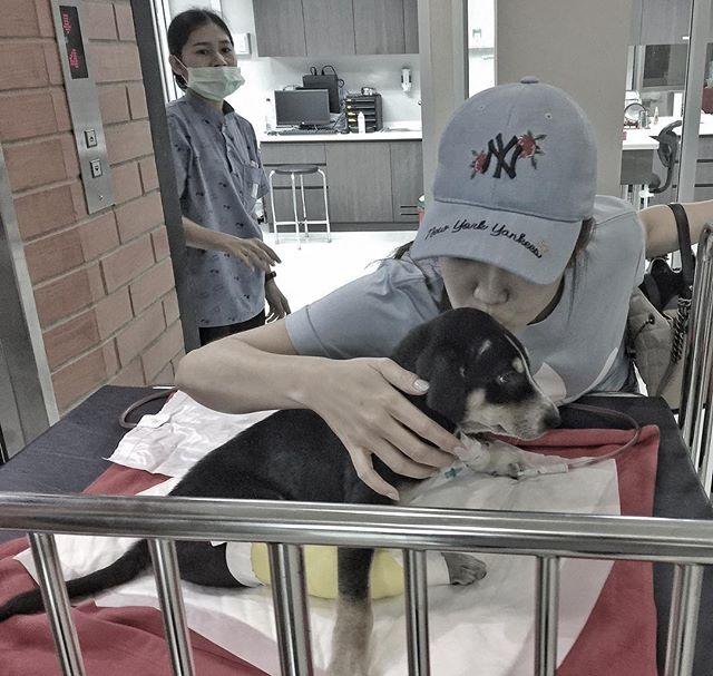 จั๊กจั่น อคัมย์สิริ