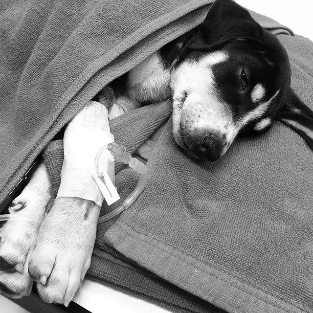 จั๊กจั่น อคัมย์สิริ