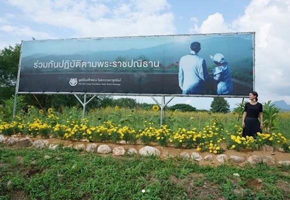 แอน ทองประสม