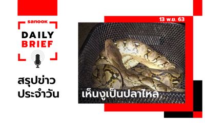 Sanook Daily Brief สรุปข่าวประจำวัน 13 พ.ย. 63