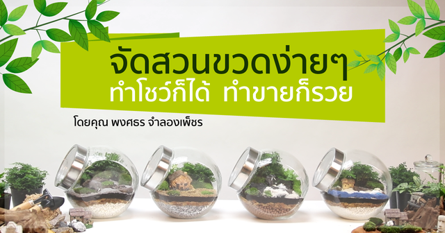 จัดสวนขวดง่ายๆ ทำโชว์ก็ได้ ทำขายก็รวย
