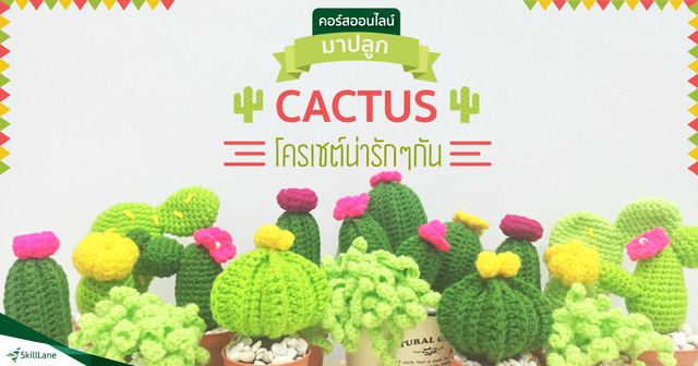มาปลูก Cactus โครเชต์น่ารักๆ กัน