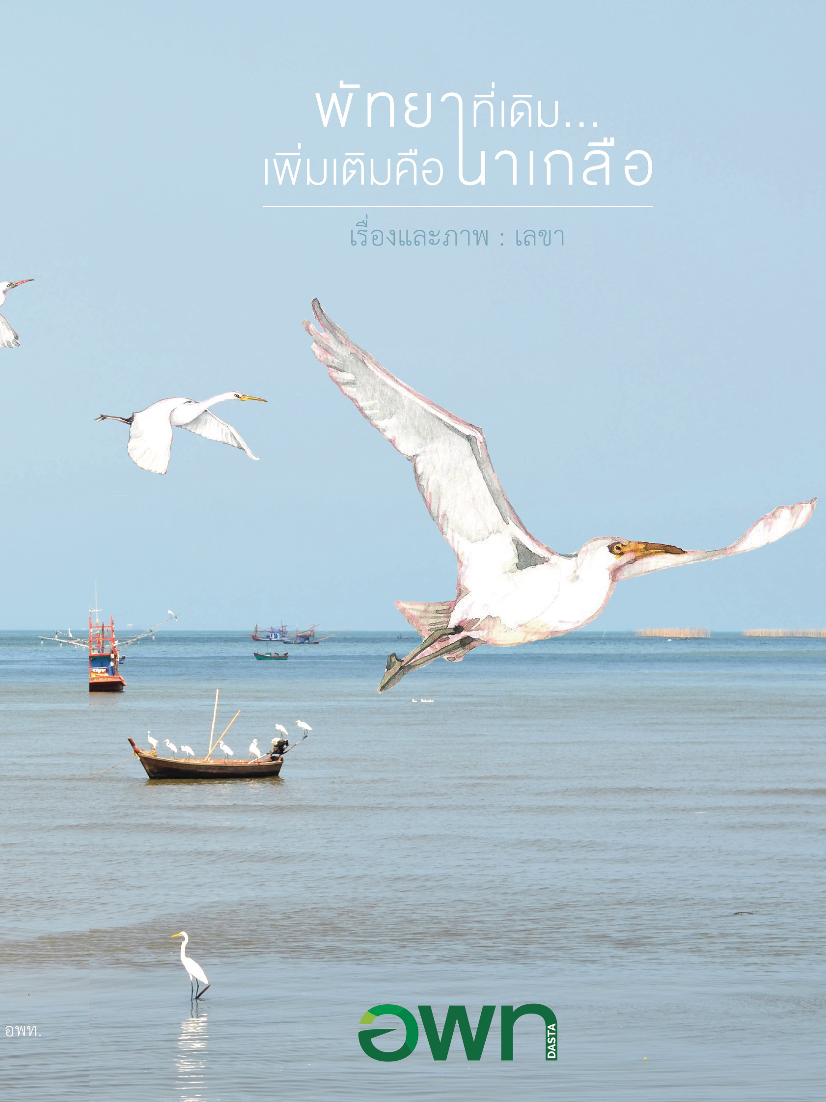 พัทยาที่เดิม…เพิ่มเติมคือนาเกลือ