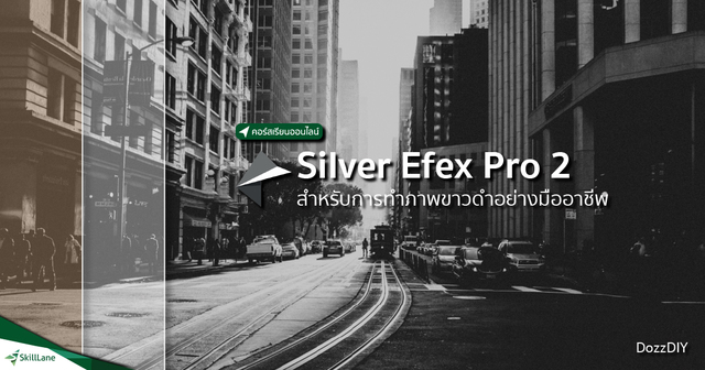 Silver Efex Pro 2 สำหรับการทำภาพขาวดำอย่างมืออาชีพ