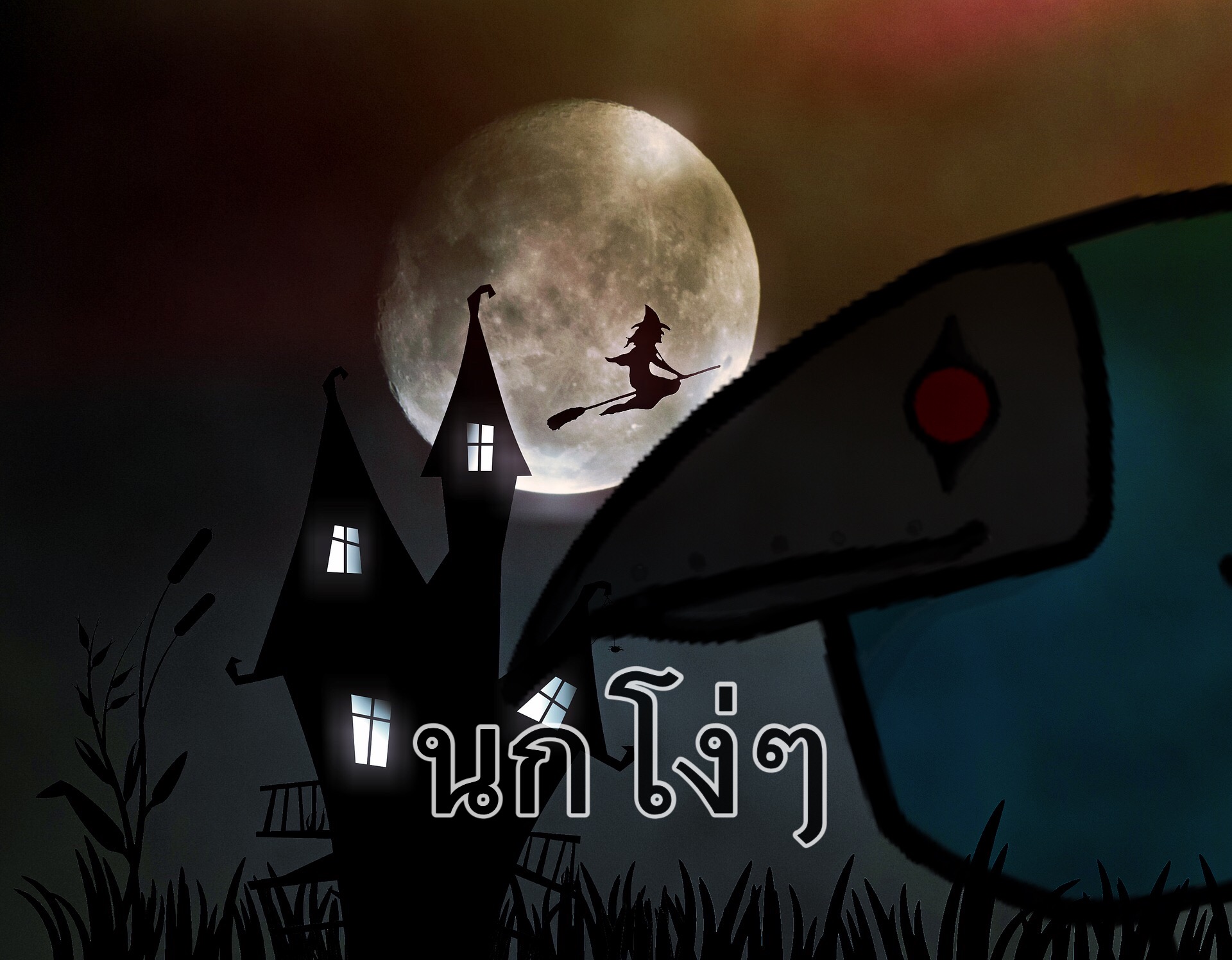 นกโง่ๆ