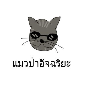 นังแมวทัวร์ดจีย์