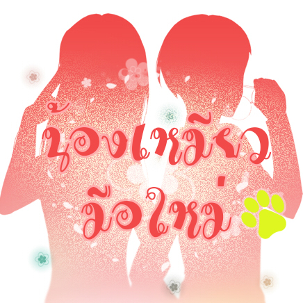 น้องเหมียวมือใหม่