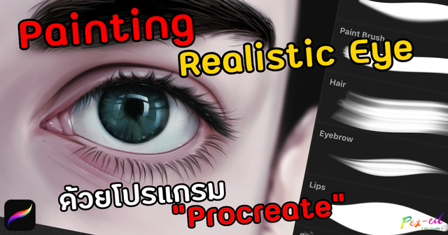 สอนวาดภาพดวงตา แบบ Realistic ด้วยโปรแกรม Procreate