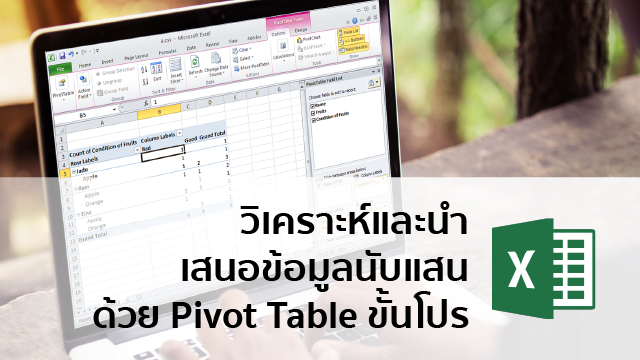 Pre to Pro Pivot Table วิเคราะห์และนำเสนอข้อมูลนับแสนด้วย Pivot Table ขั้นโปร