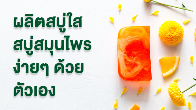 ผลิตสบู่ใส สบู่สมุนไพร ง่ายๆ ด้วยตัวเอง