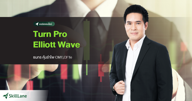 Turn Pro Elliott Wave