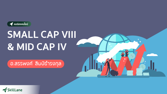 SMALL CAP VIII & MID CAP IV