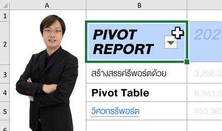 Pivot Report: สร้างสรรค์รีพอร์ตด้วย Pivot Table